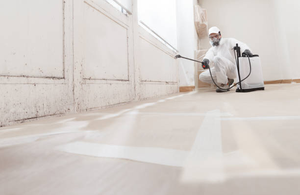24/7 Emergency Mold Remediation experts in Ebensburg, PA